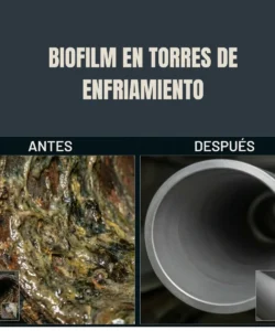 antes y despues de limpieza de biofilm